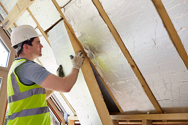 Professional Insulation Contractor in Benavides, TX