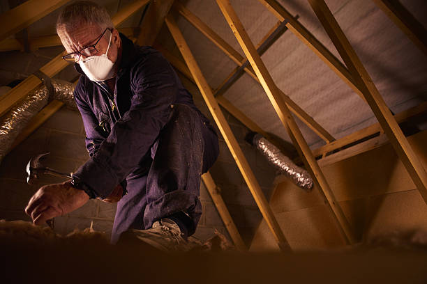 Best DIY Insulation Kits and Guidance in Benavides, TX